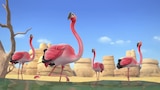 Mission: Pink Flamingo Rescue