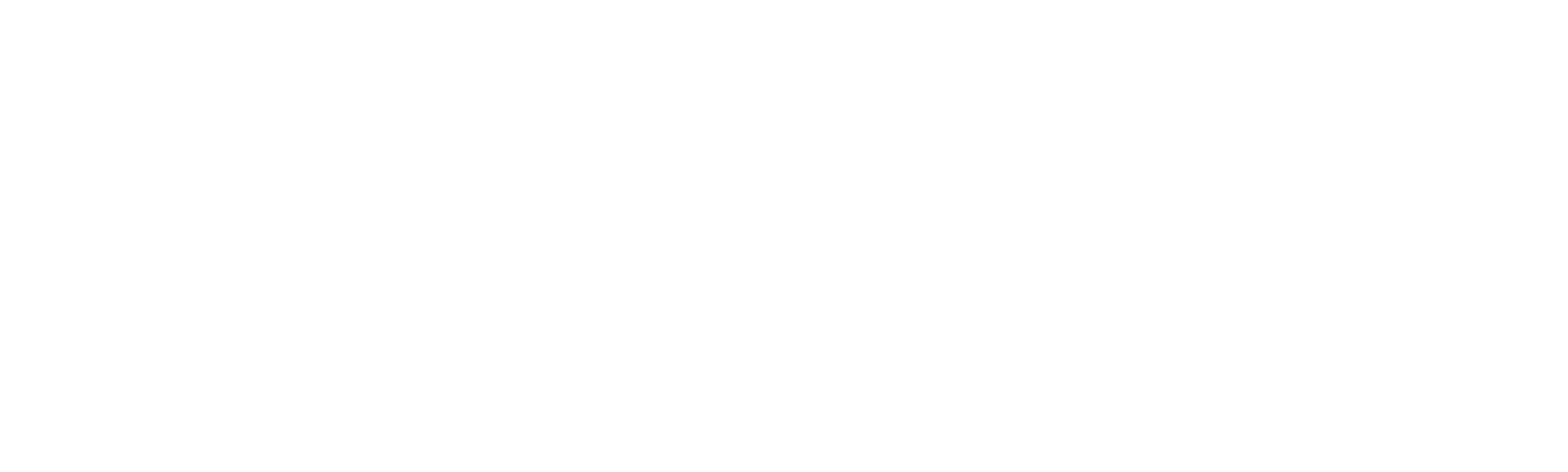 Invasión de garajes