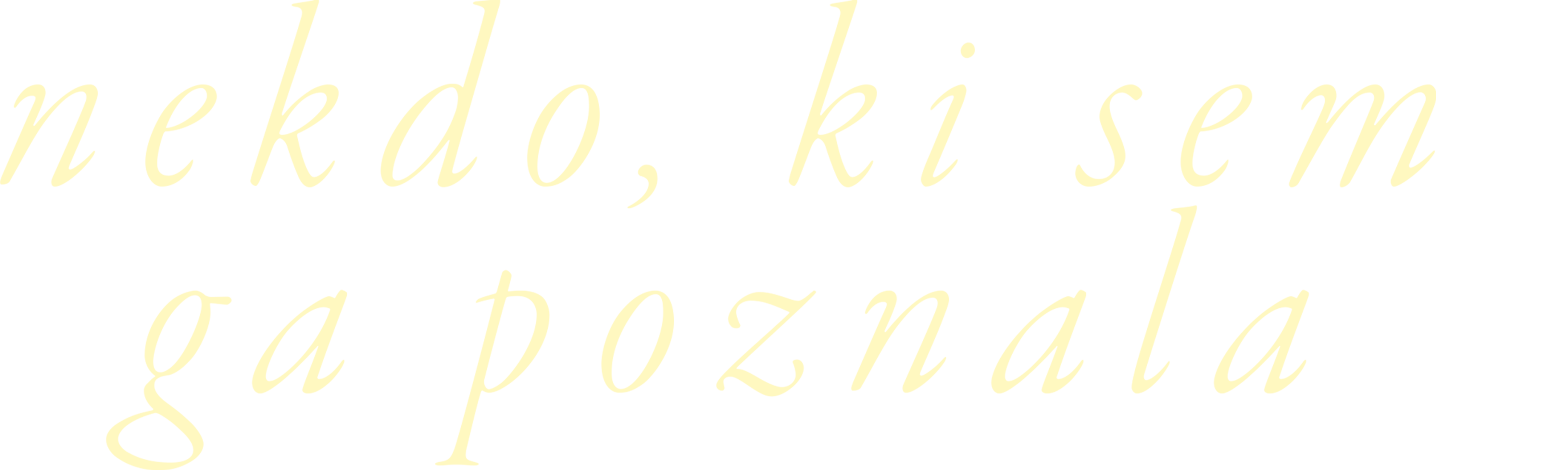 Nekdo, ki sem ga poznala