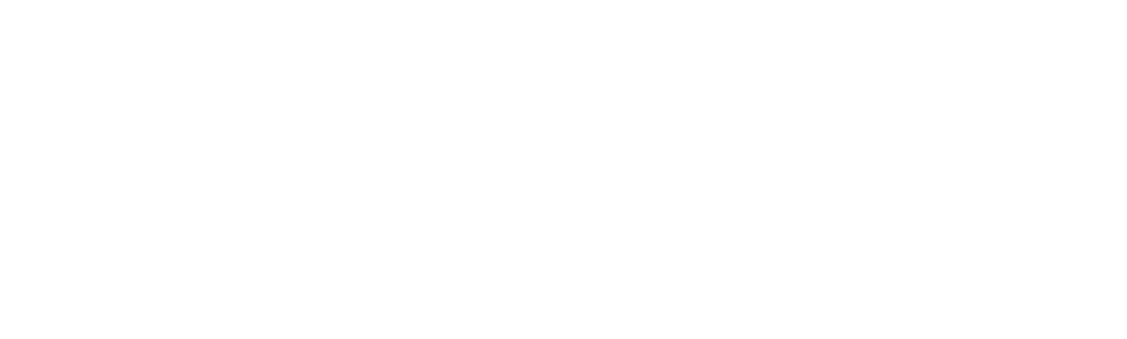 Twitter: Breaking the Bird