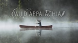 Wild Appalachia