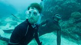 Shark Swarm Freedive