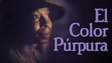 El Color Púrpura
