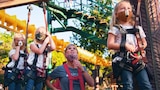 Girl Fights and Big Heights
