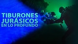 Tiburones jurásicos: En lo profundo