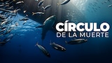 Círculo de la muerte