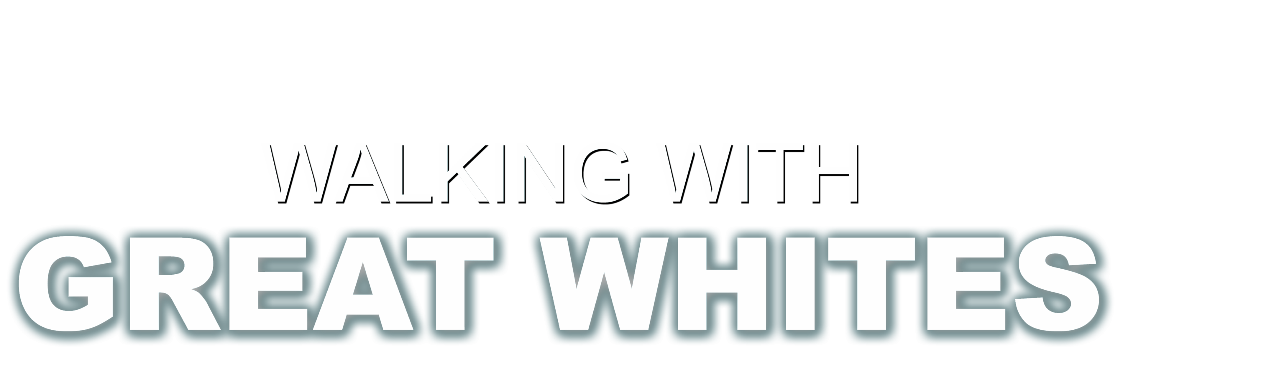 Walking With Great Whites