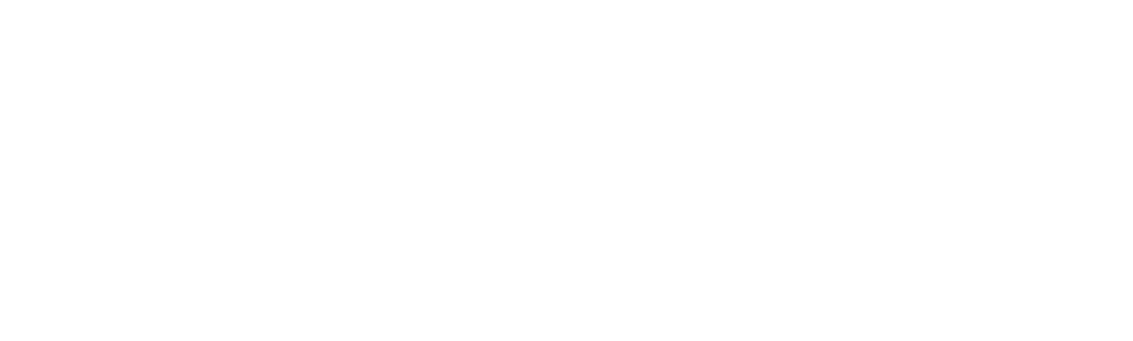 The Sisters Brothers