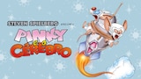 Steven Spielberg Presents Pinky & The Brain
