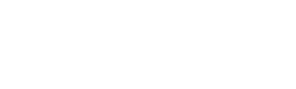 The Girls on the Bus