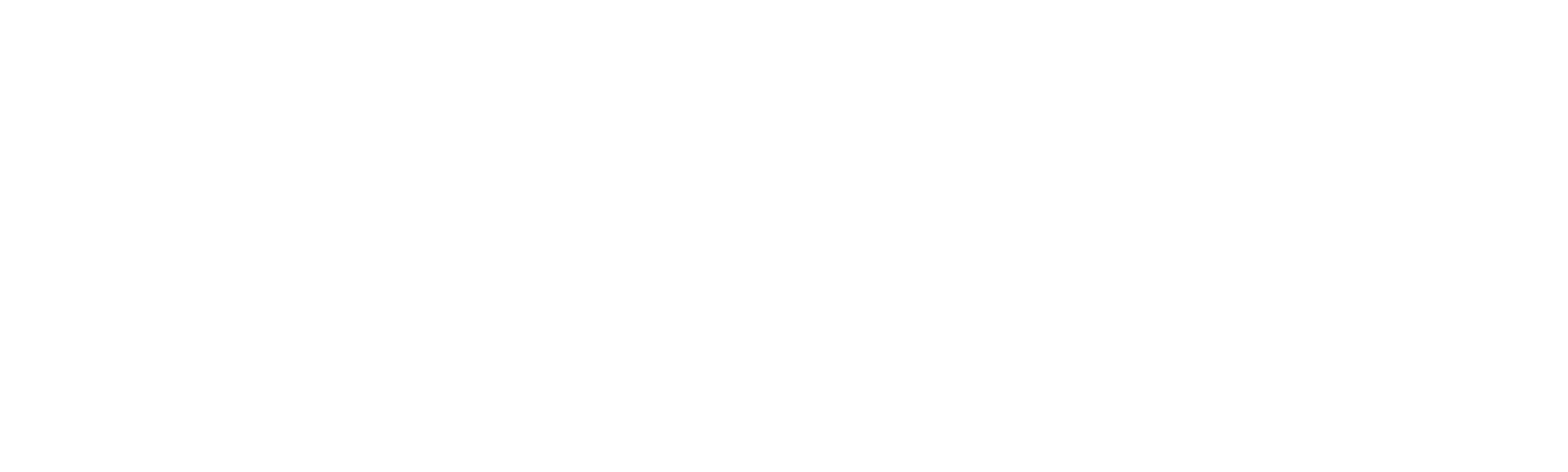 The Girls on the Bus