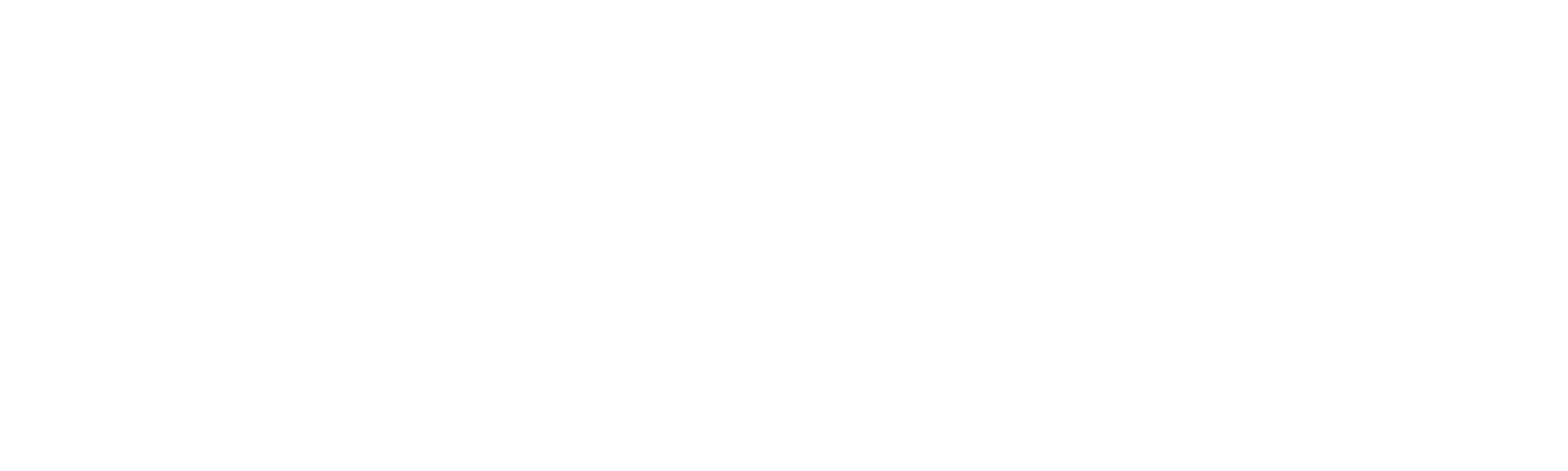 Devojke u predsedničkoj kampanji