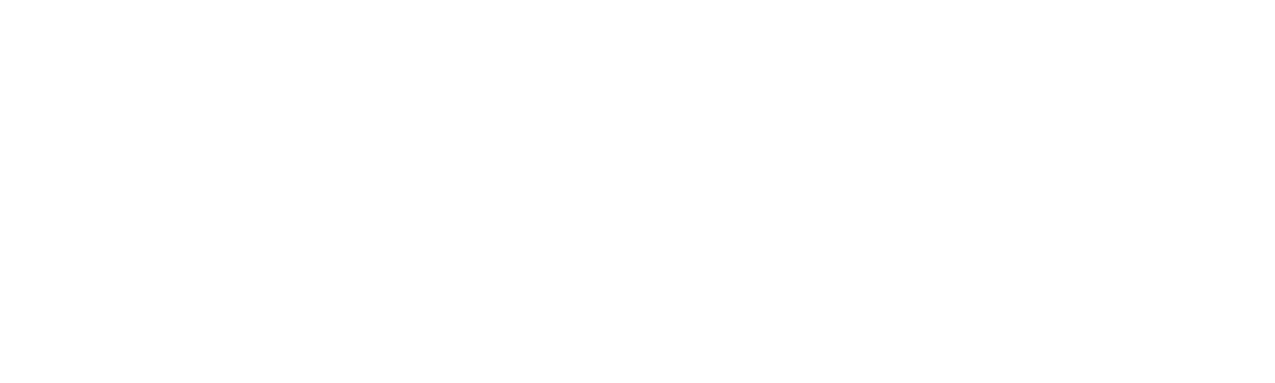 GURKAN CHEF: FIREWORKS