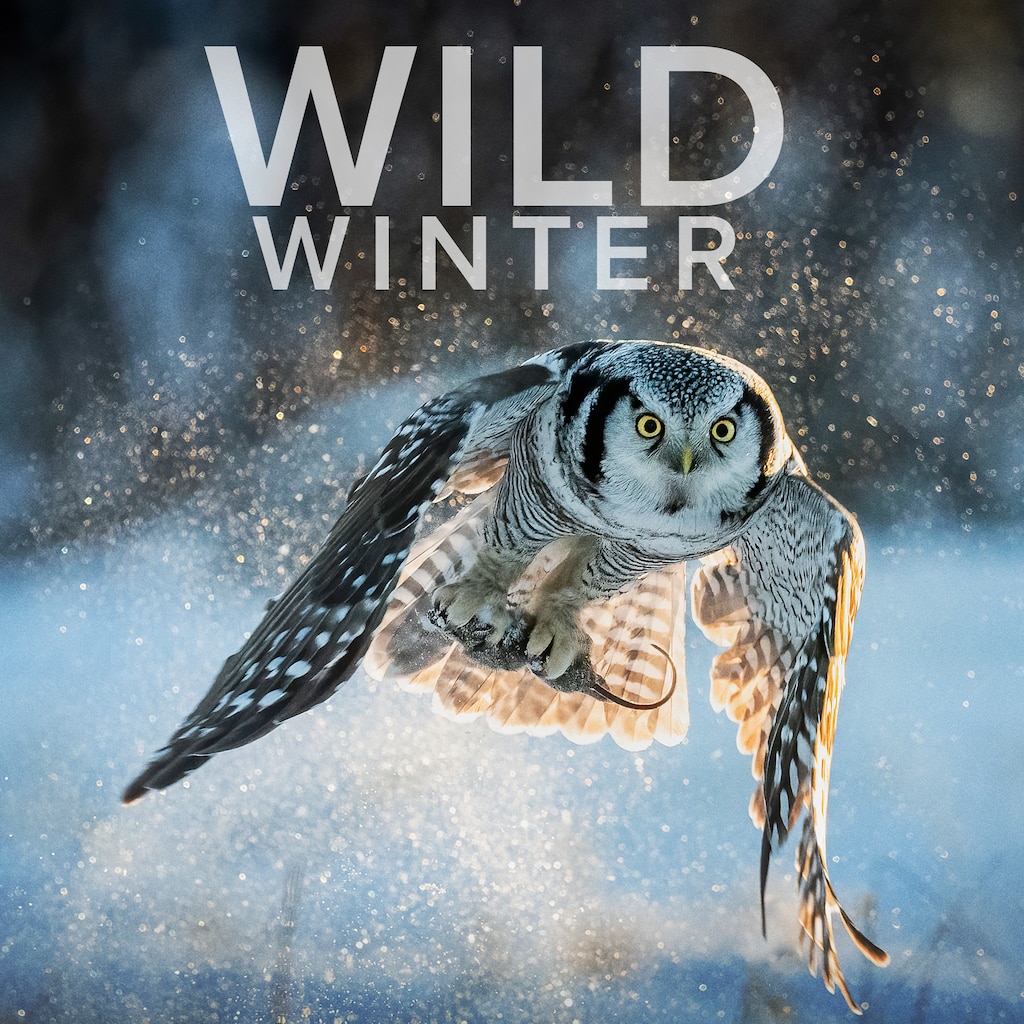 Wild Winter