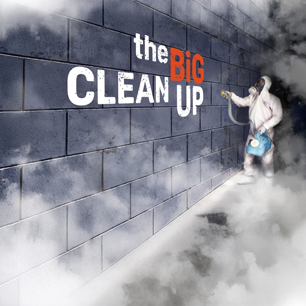 The Big Clean Up