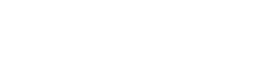 Vestido de novia: Las damas