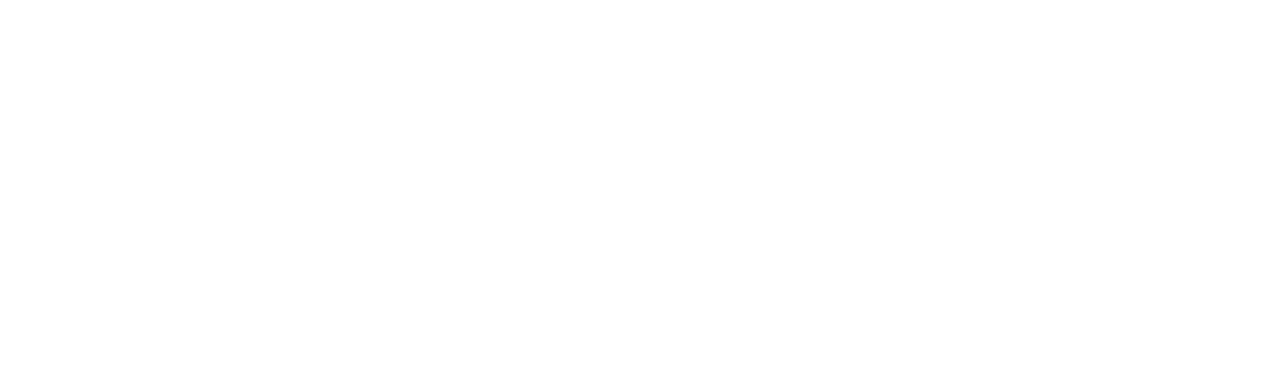 Strip Search