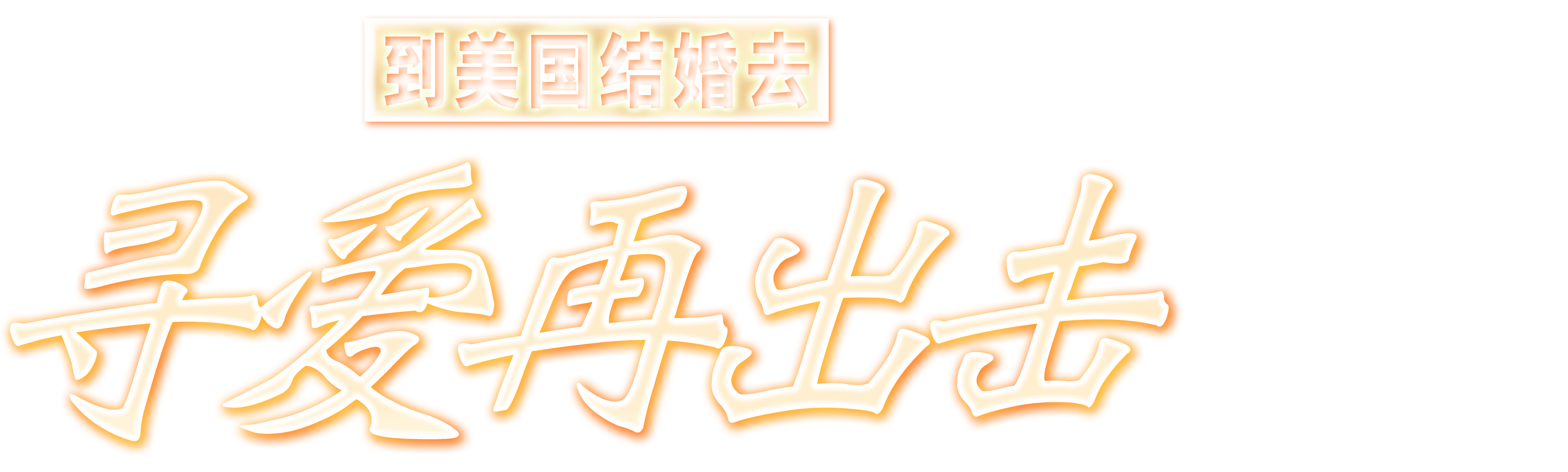 到美国结婚去：寻爱再出击