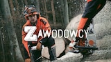 Zawodowcy