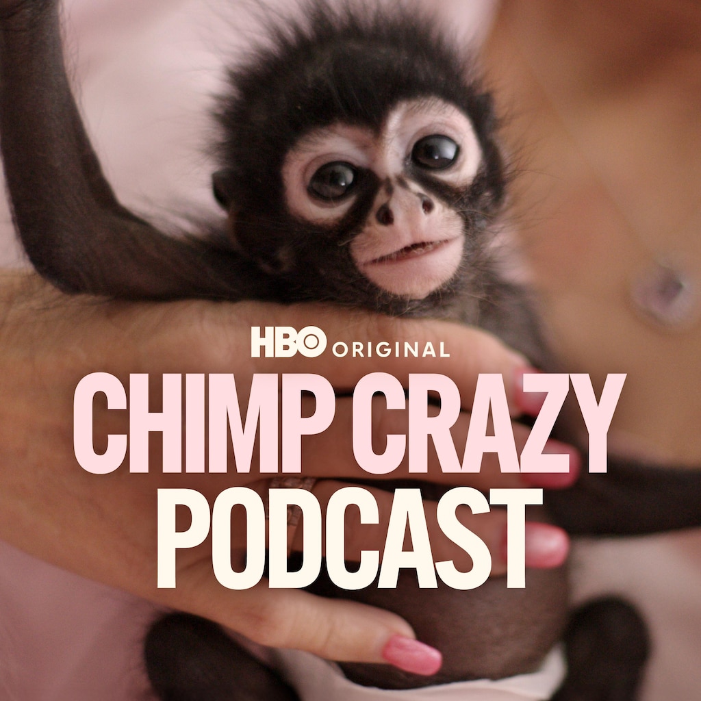 The Chimp Crazy Podcast