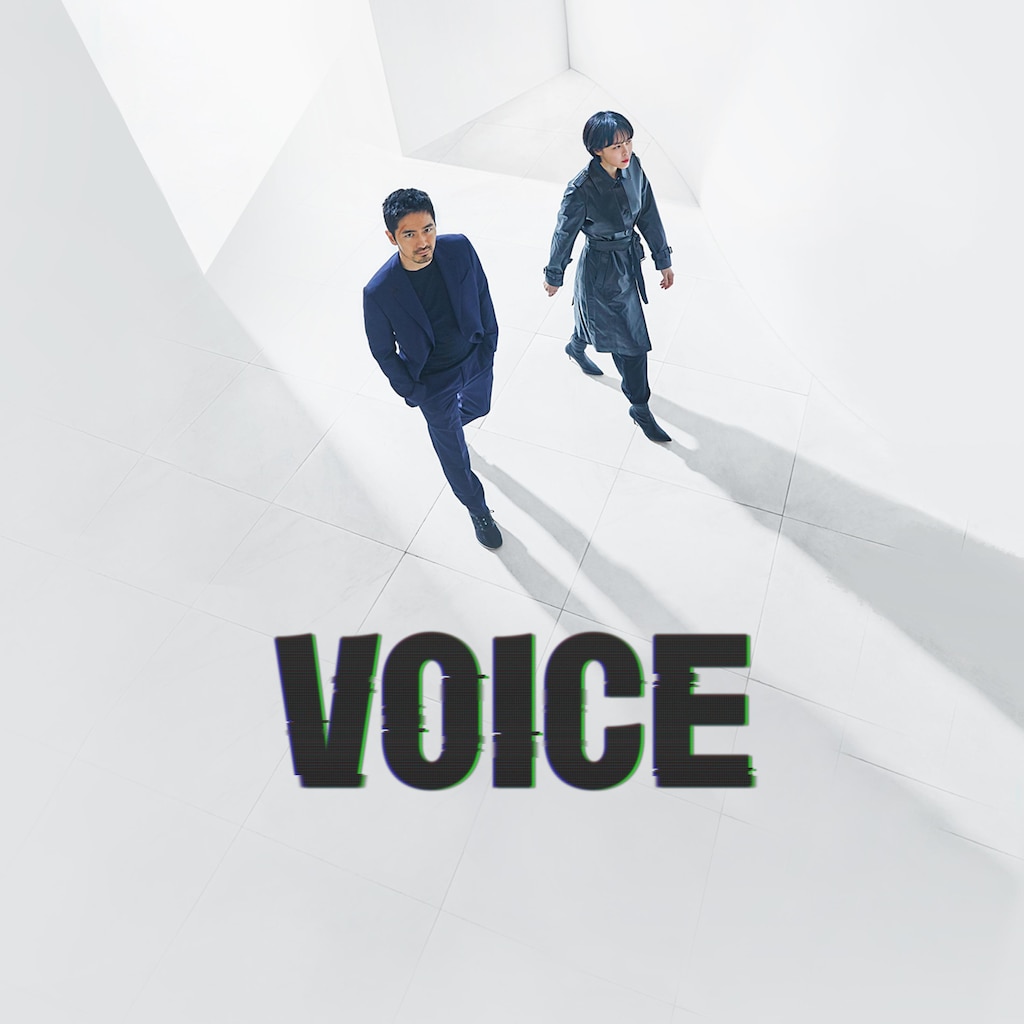 Voice