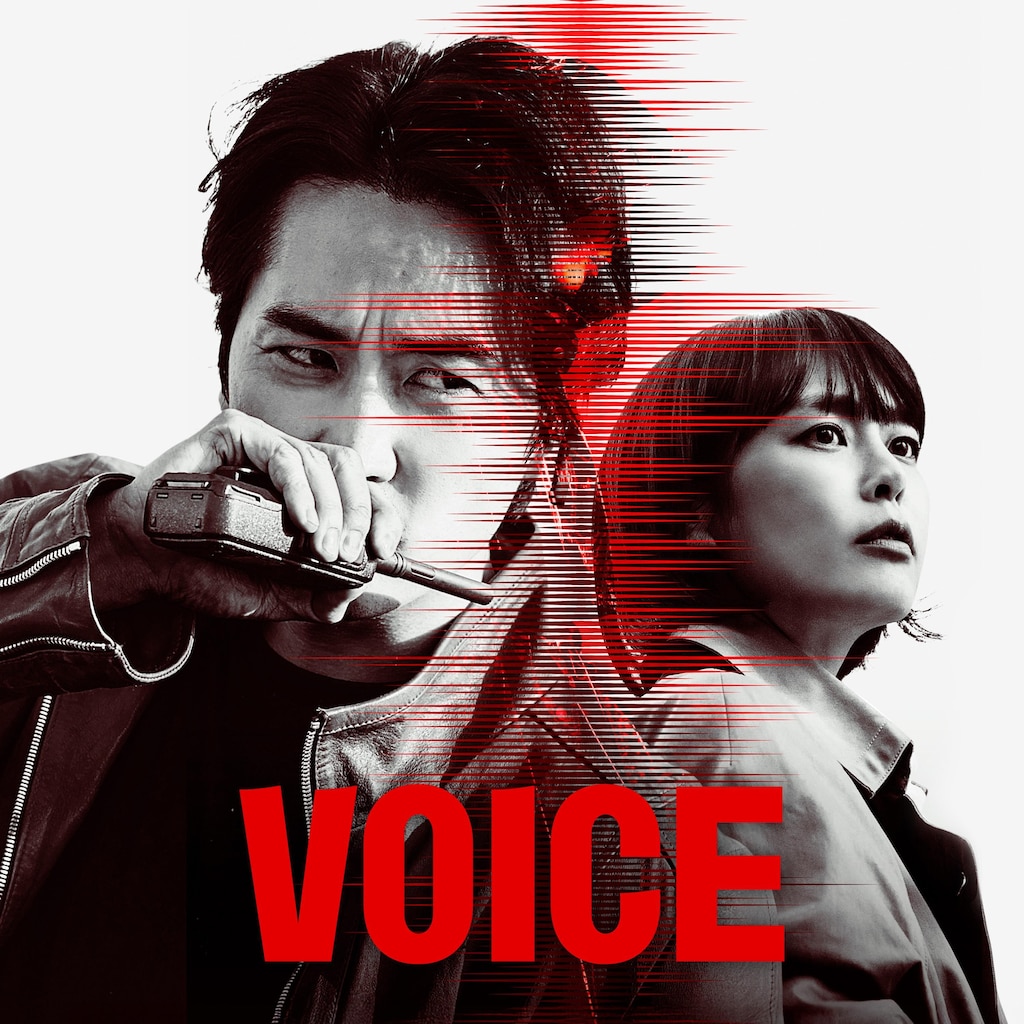 Voice