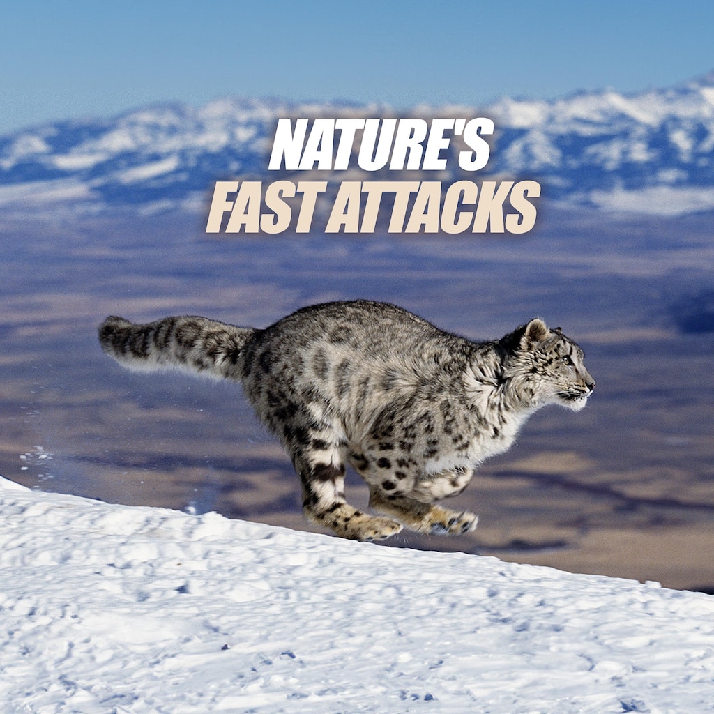 Nature's Fast Attacks