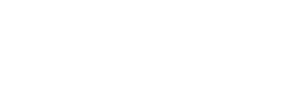 Los casos de Anna-Sigga Nicolazzi