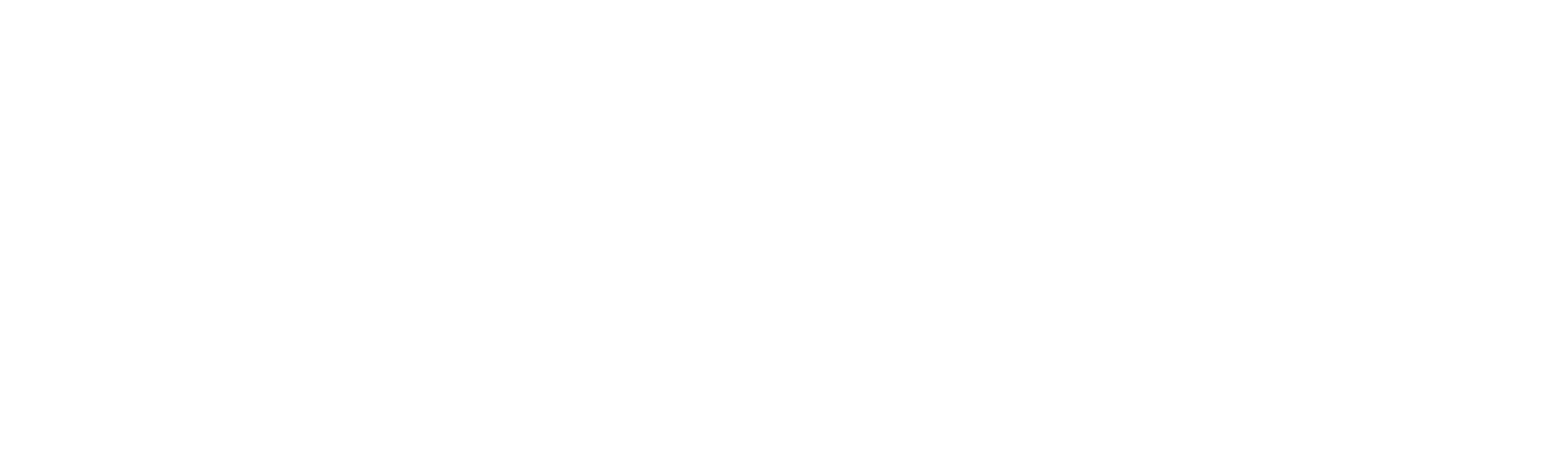 Los casos de Anna-Sigga Nicolazzi