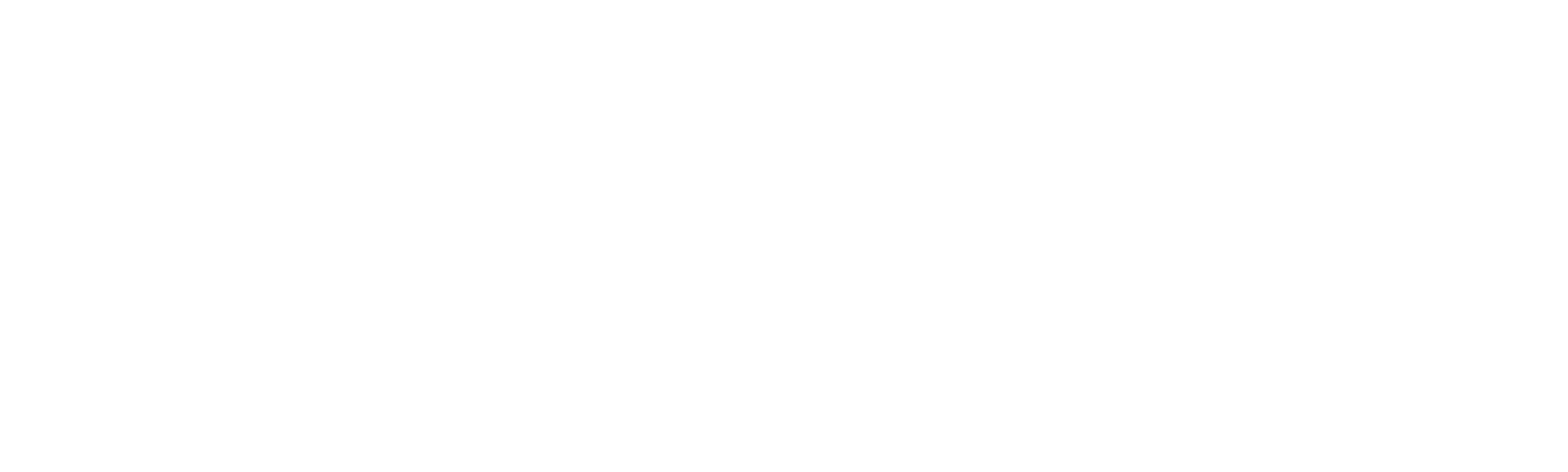 Huérfanos de Brooklyn