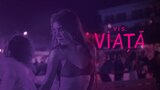 Vis. Viață