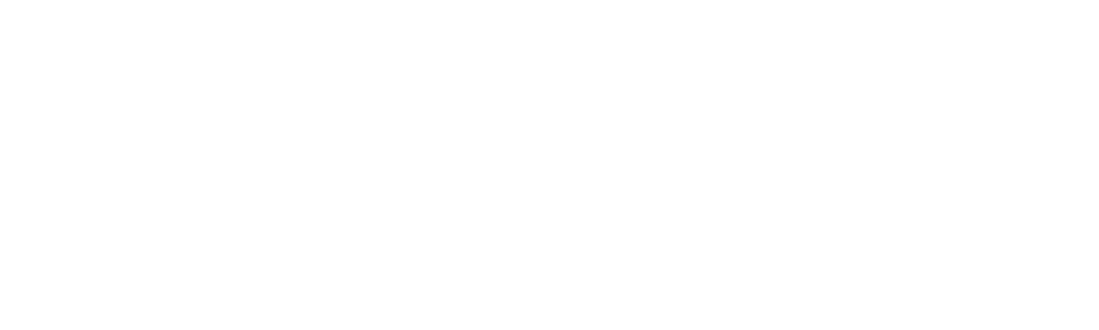Bruce Lee: The Man and the Legend