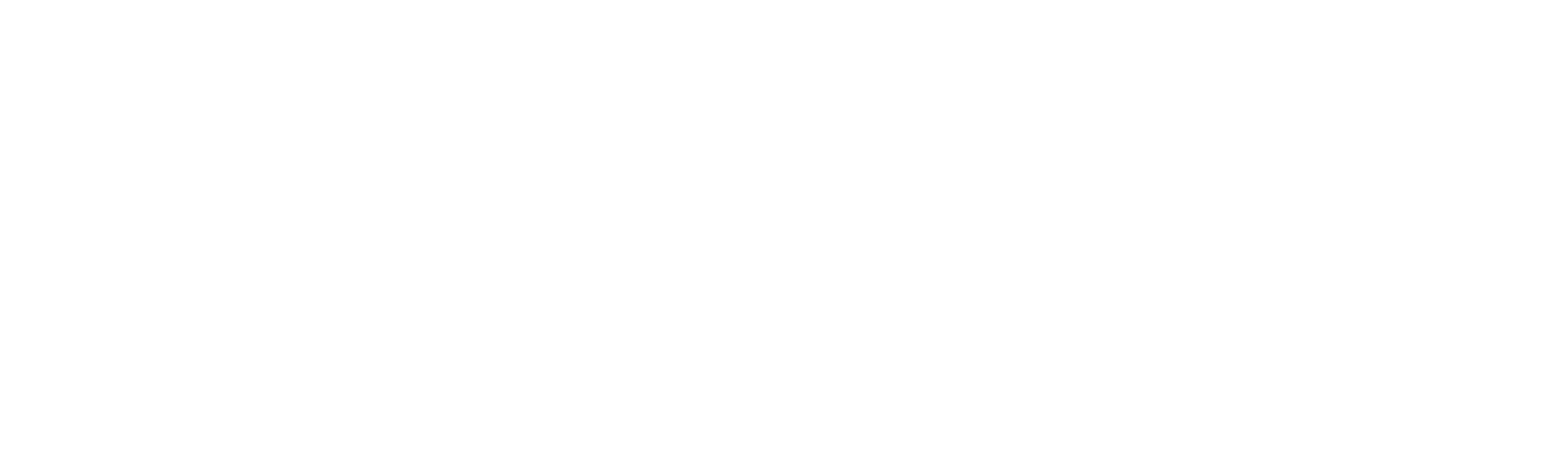 Operation Lost Boy