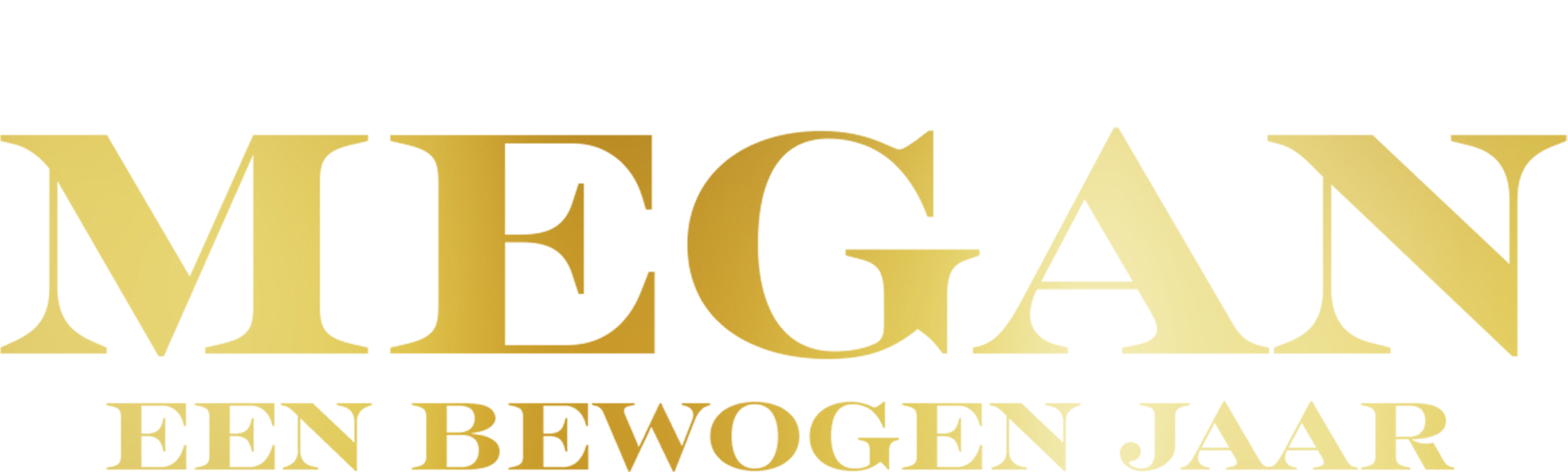 Megan: A Turbulent Year