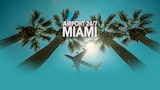 Airport 24/7: Miami