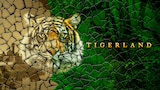 Tigerland