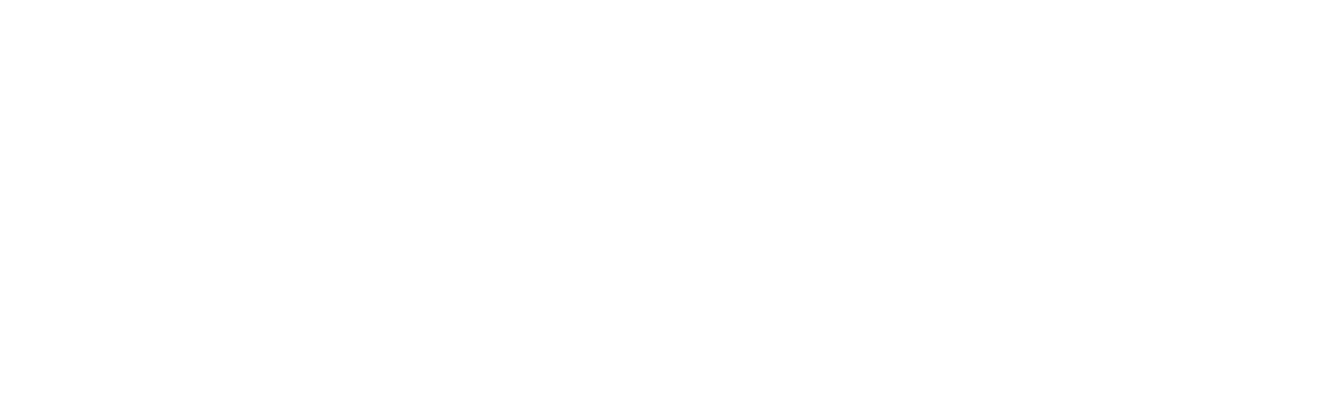 Duplicity (HBO)