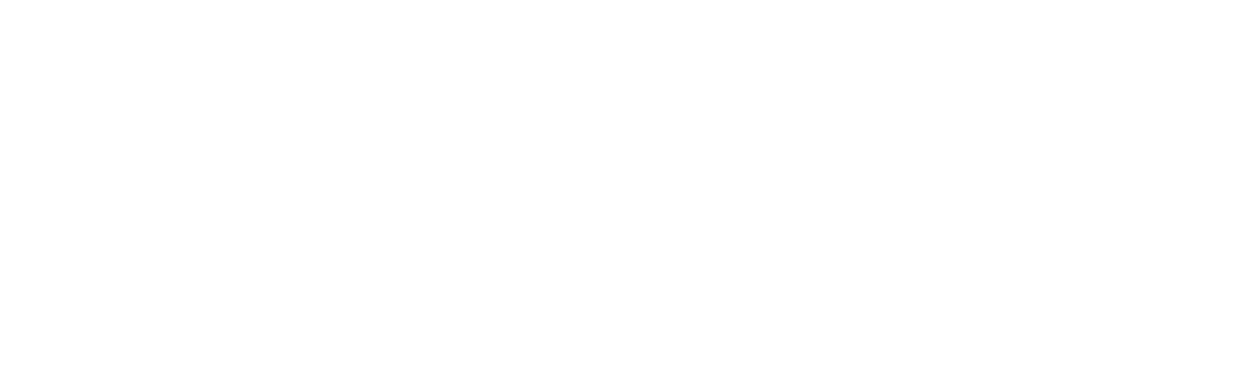 Čudna braća
