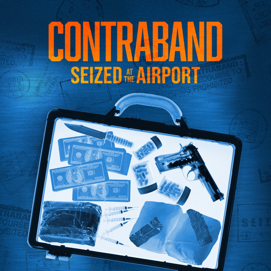 Contraband: Seized at the Airport