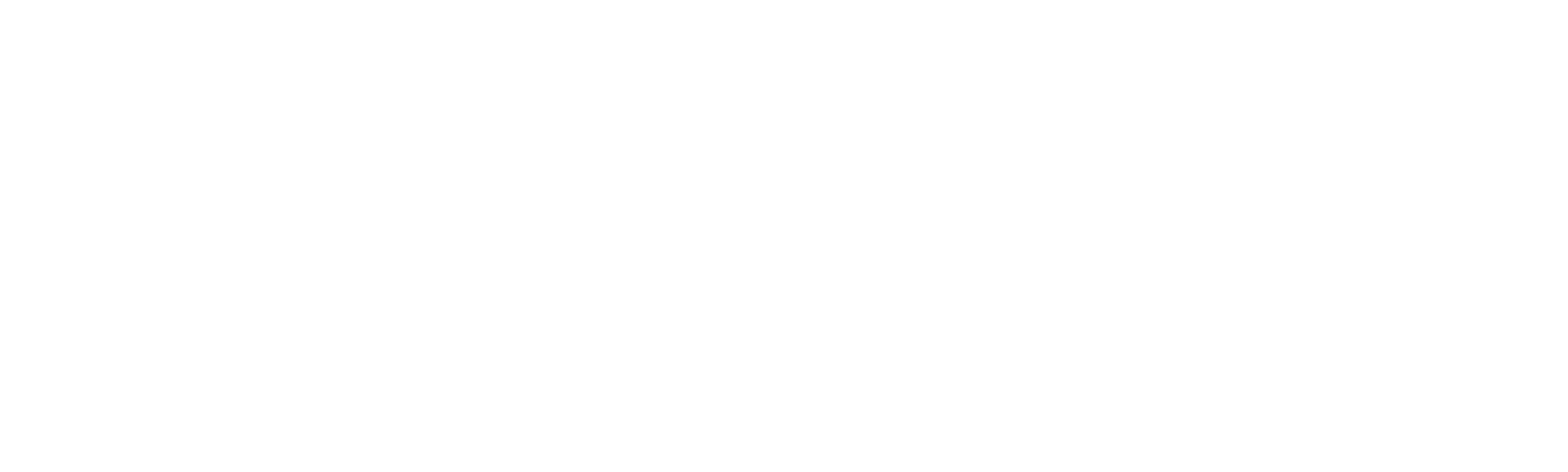 Nejrychlejší žena na světě