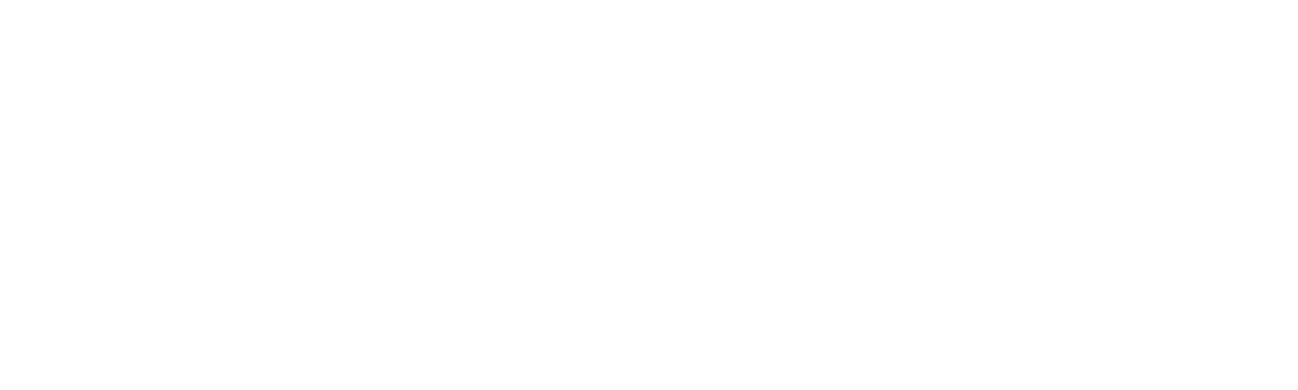 Najbrža žena na svetu