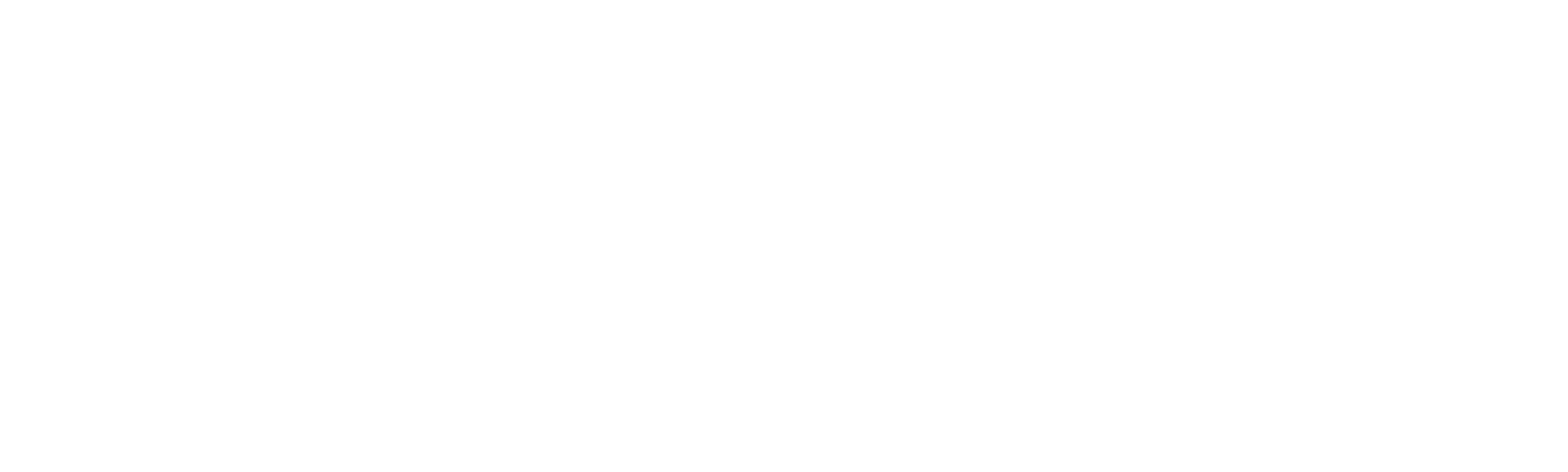 Najbrža žena na svijetu