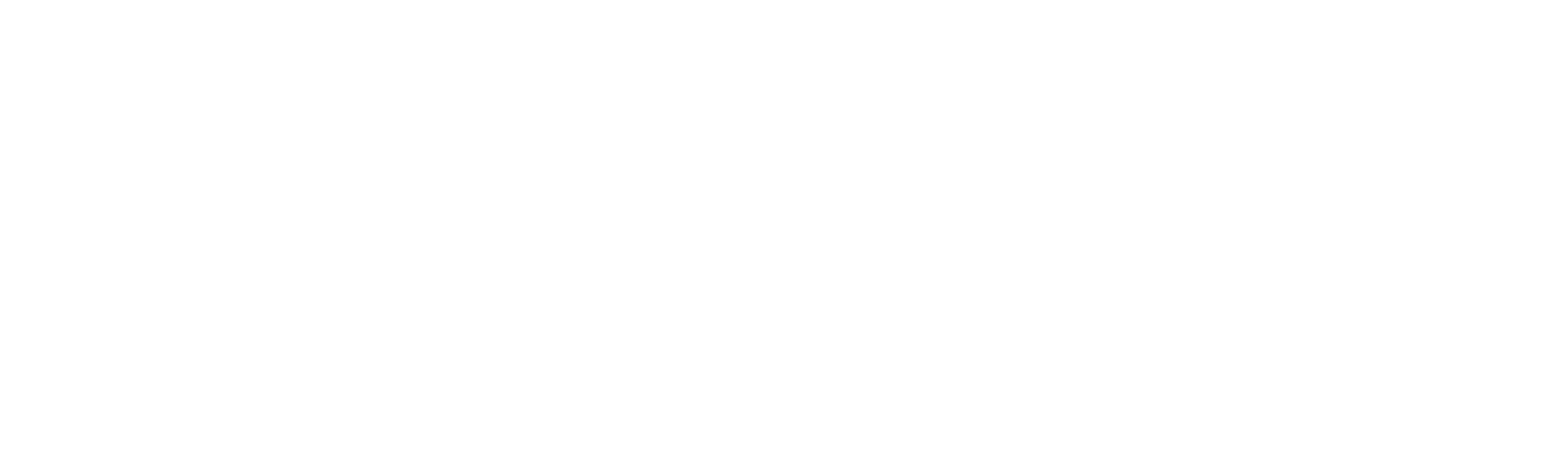 A Mulher Mais Rápida do Planeta