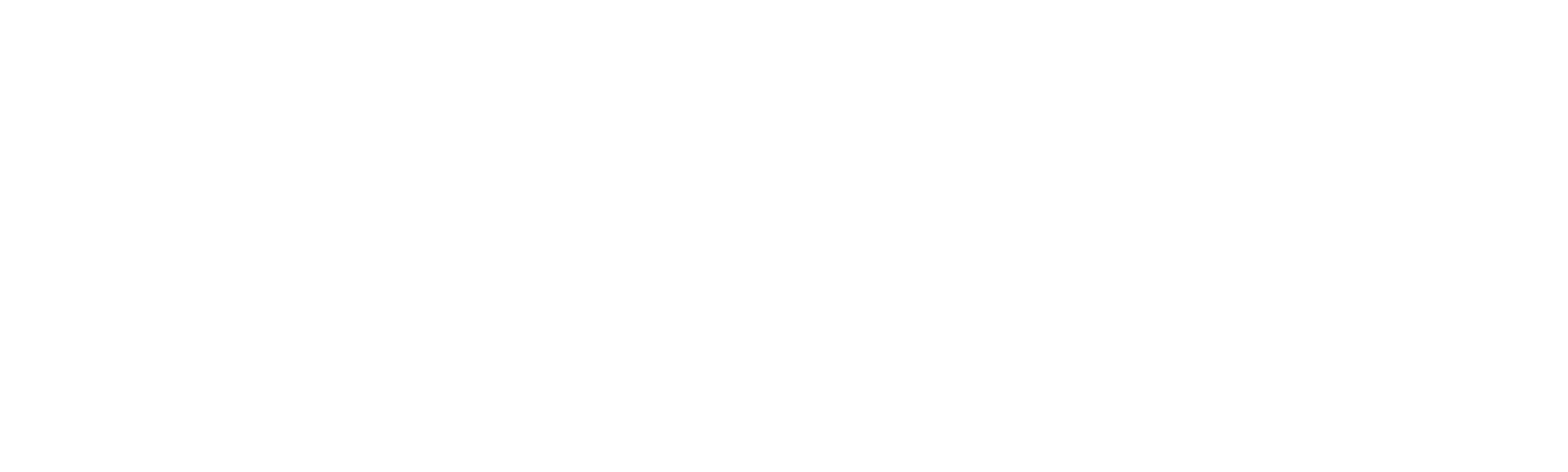 La mujer más rápida del mundo