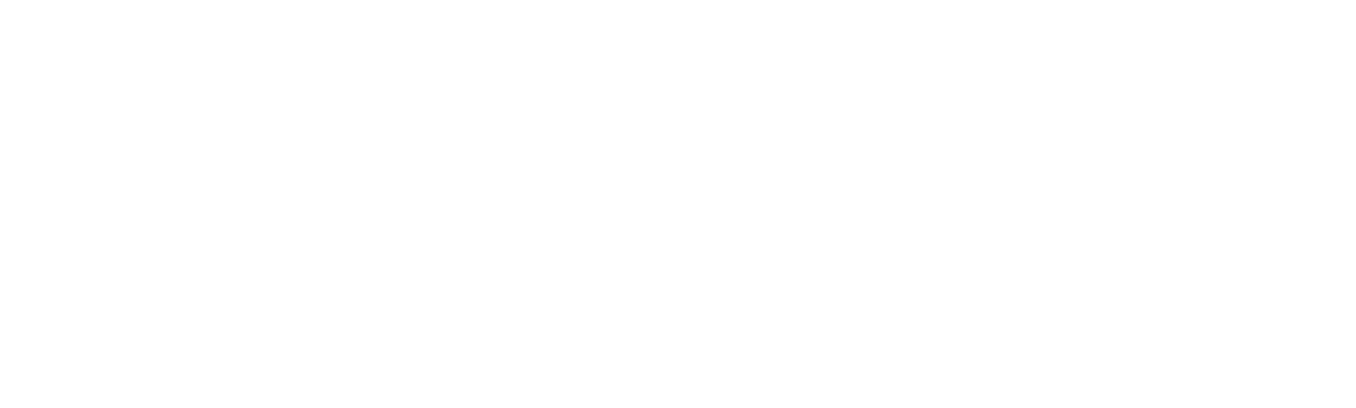 The Fastest Woman on Earth