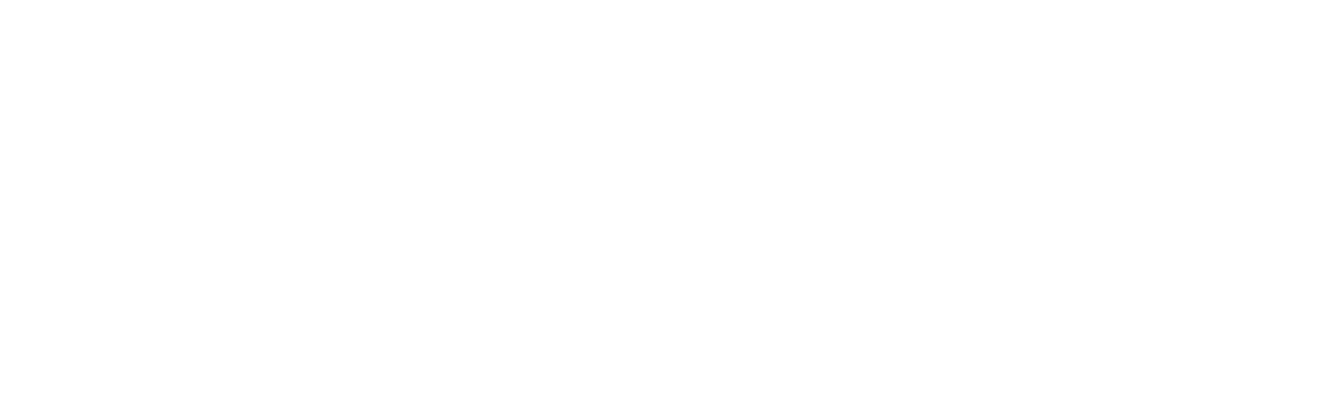 La Mujer Más Rápida del Planeta