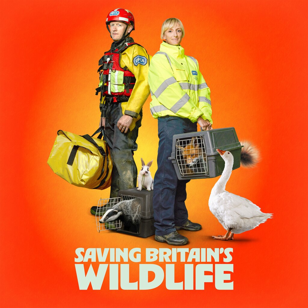 Saving Britain's Wildlife
