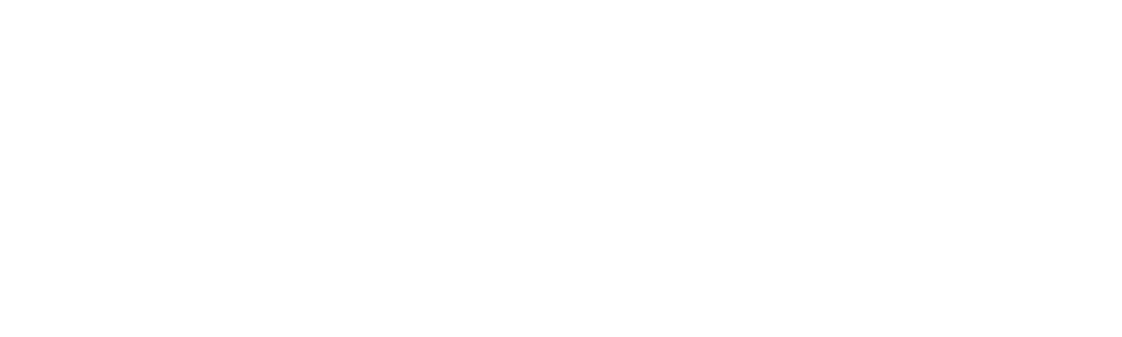 New York Post Investiga