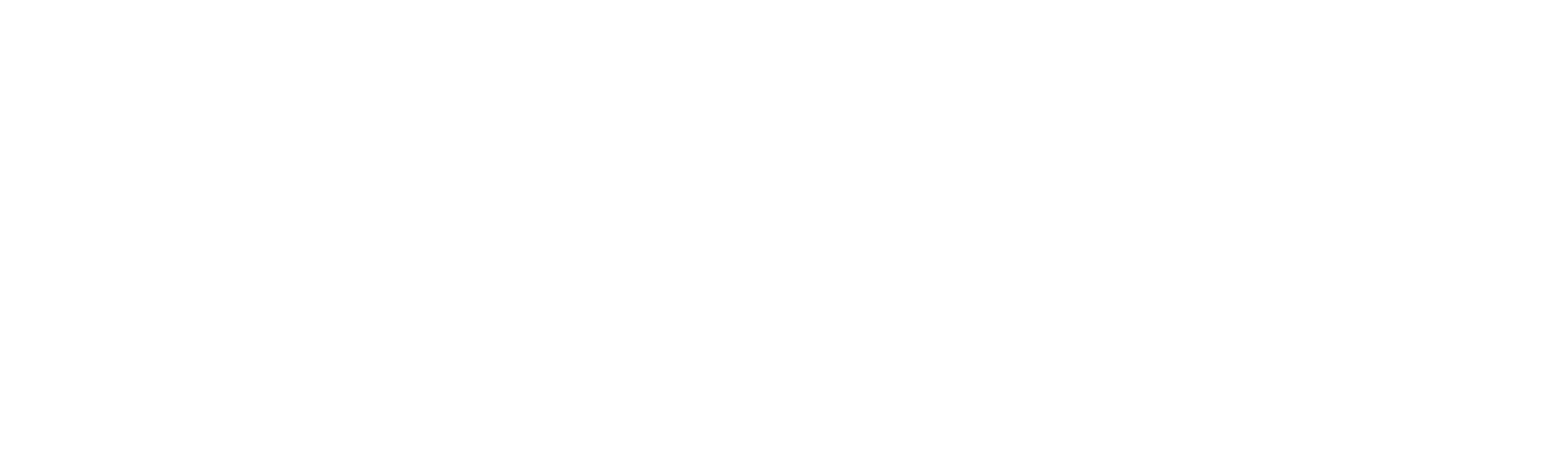 席琳娜在家过节