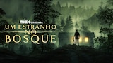 Um Estranho no Bosque